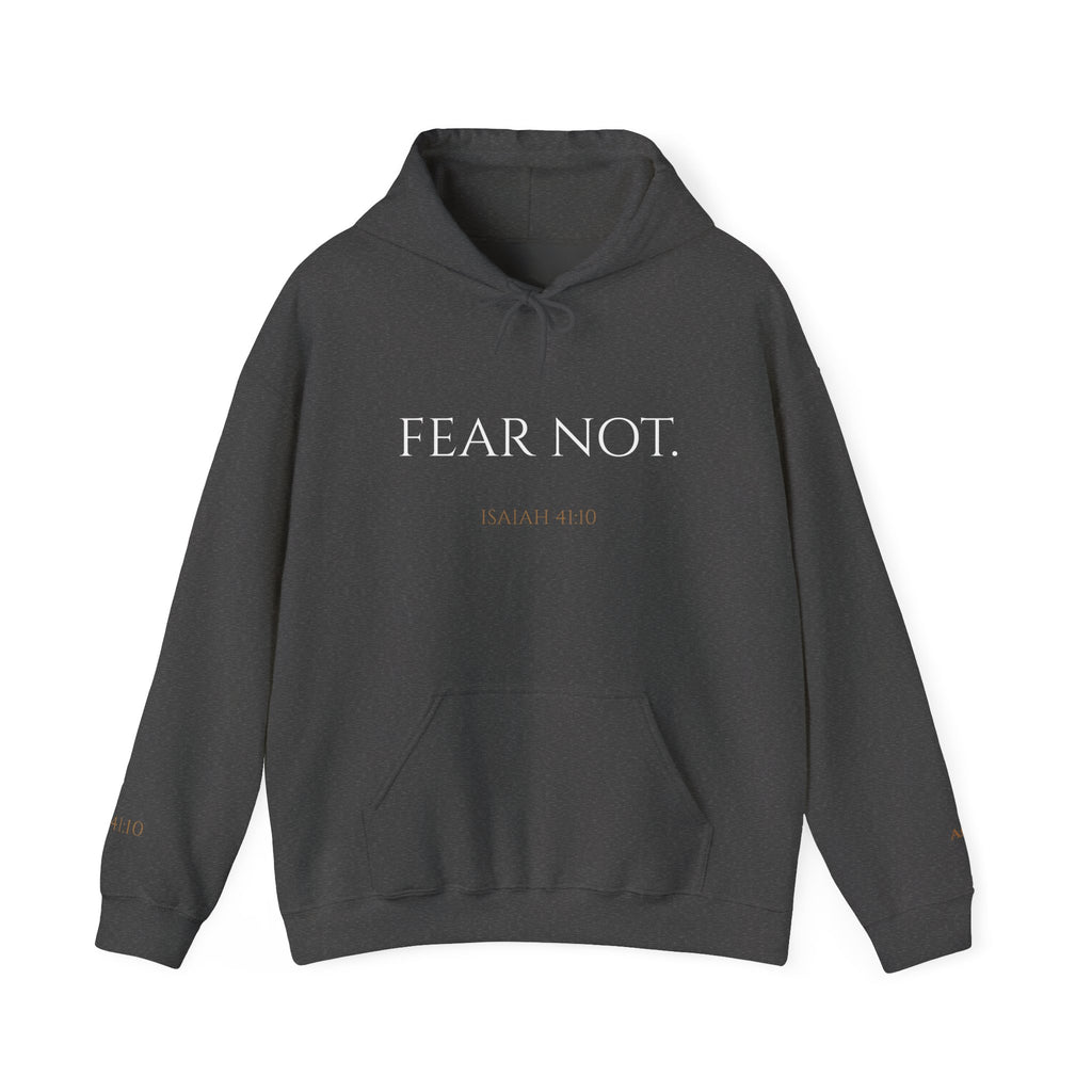 FEAR NOT. | Isaiah 41:10 Embroidered Christian Hoodie