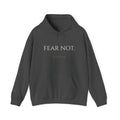 FEAR NOT. | Isaiah 41:10 Embroidered Christian Hoodie