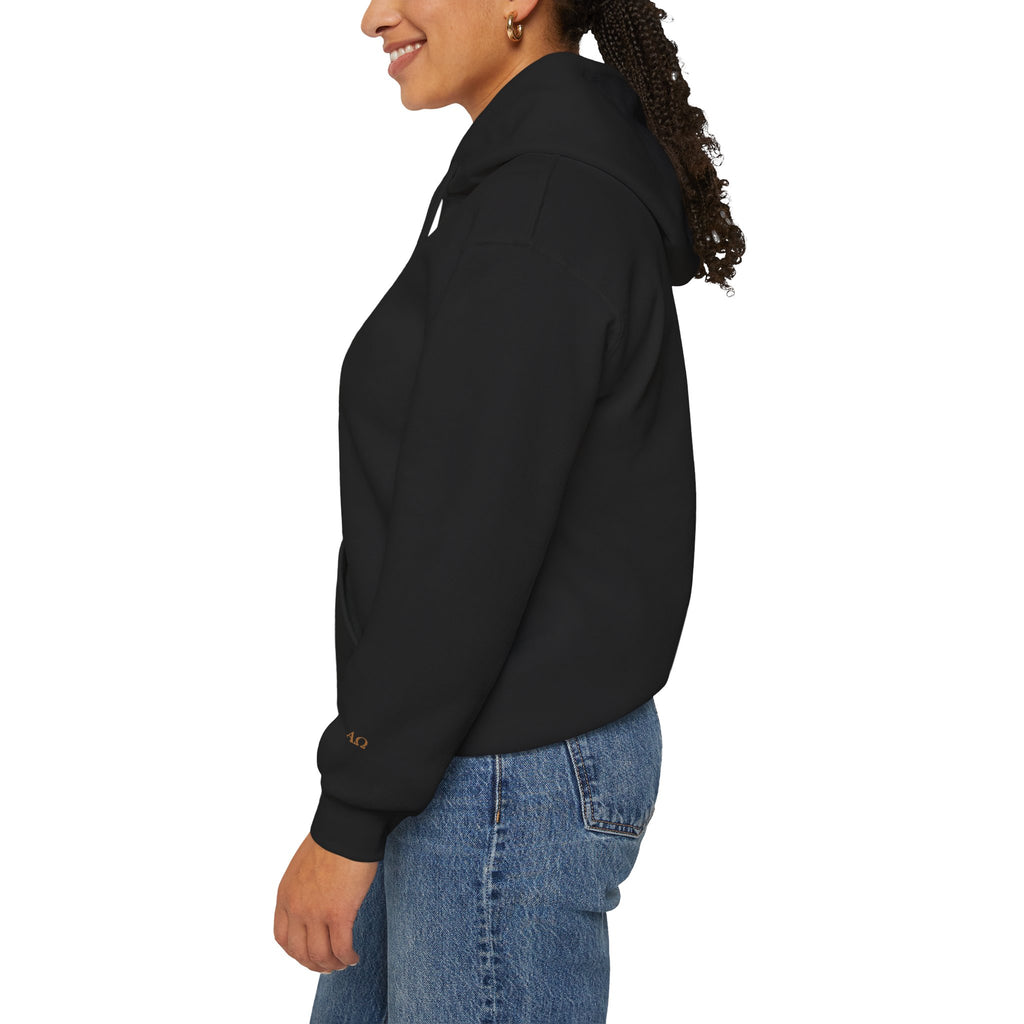 FEAR NOT. | Isaiah 41:10 Embroidered Christian Hoodie