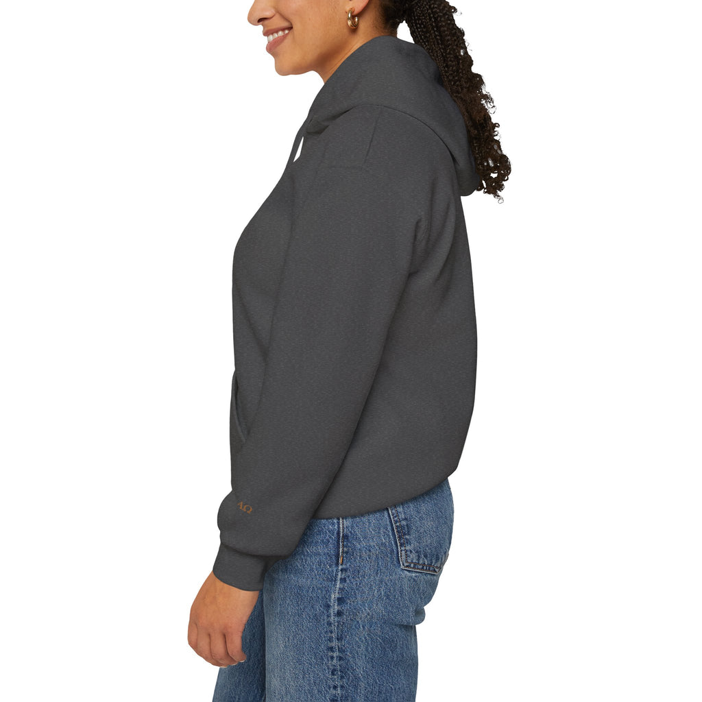 FEAR NOT. | Isaiah 41:10 Embroidered Christian Hoodie