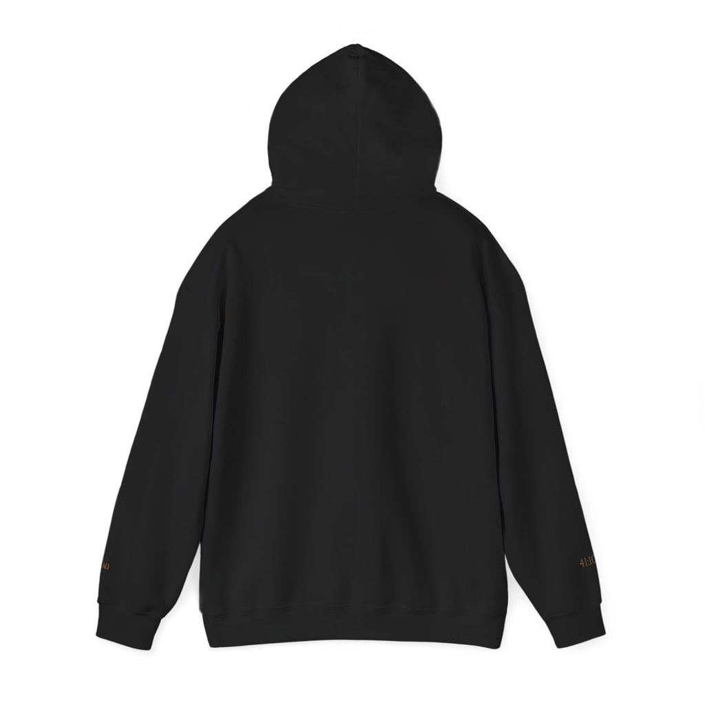 FEAR NOT. | Isaiah 41:10 Embroidered Christian Hoodie