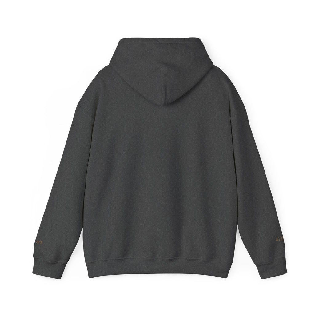 FEAR NOT. | Isaiah 41:10 Embroidered Christian Hoodie