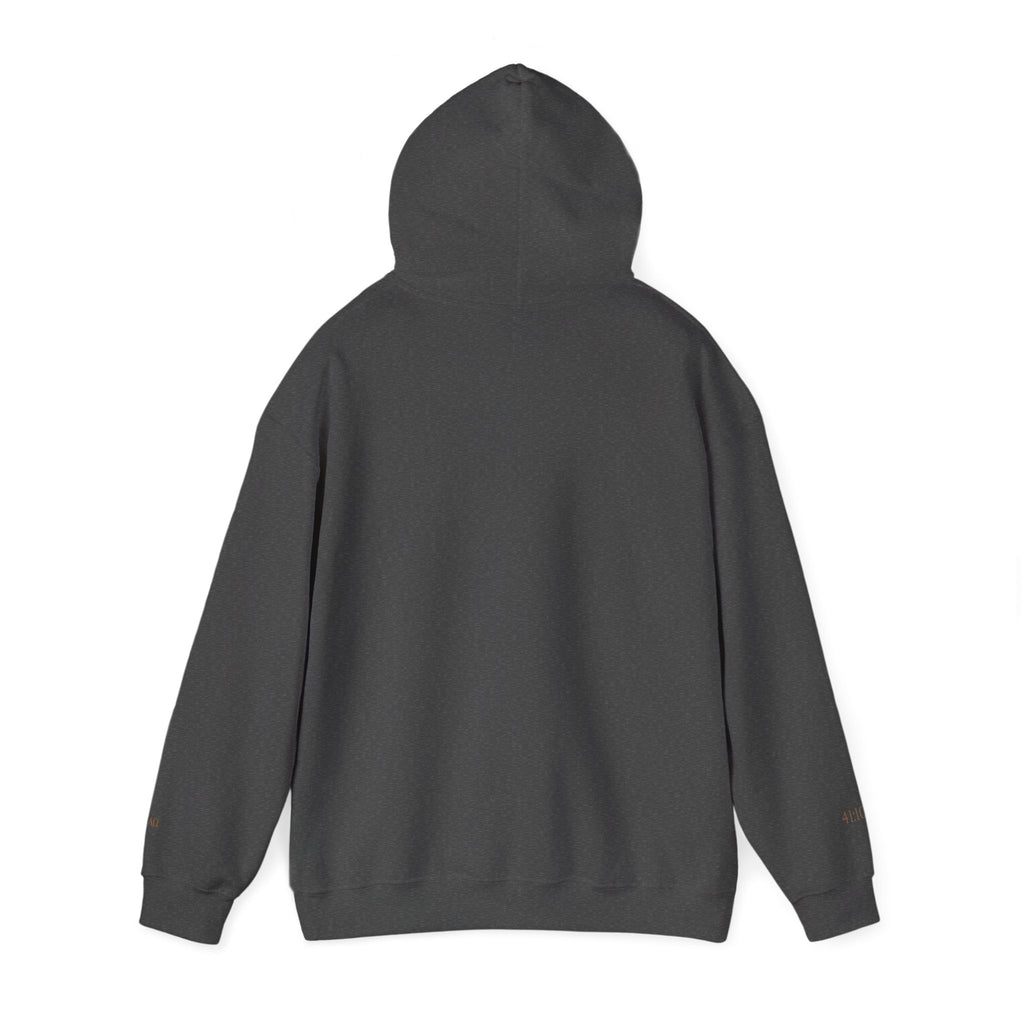 FEAR NOT. | Isaiah 41:10 Embroidered Christian Hoodie
