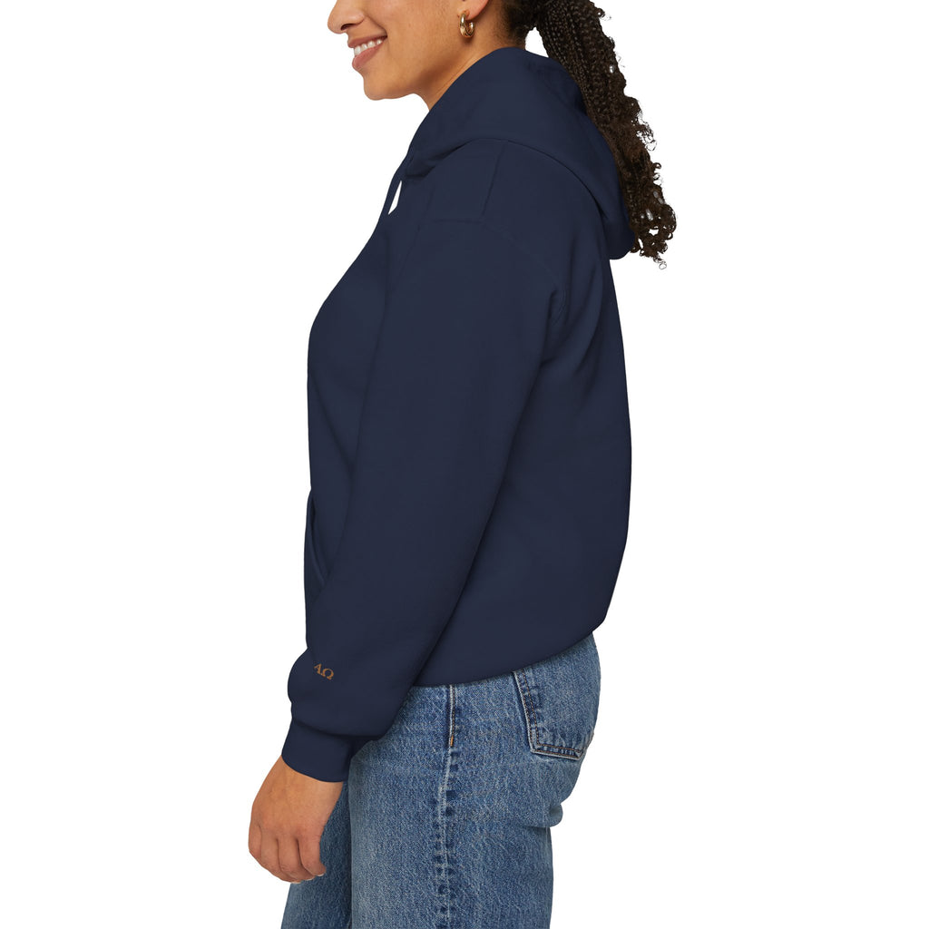 FEAR NOT. | Isaiah 41:10 Embroidered Christian Hoodie
